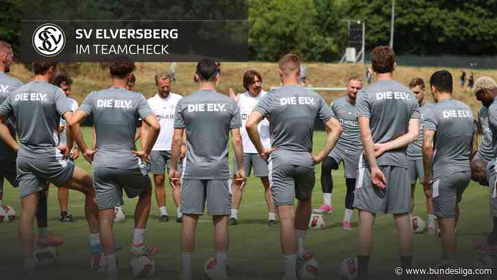 Teamcheck SV Elversberg: Die Talentschmiede hält den Kurs