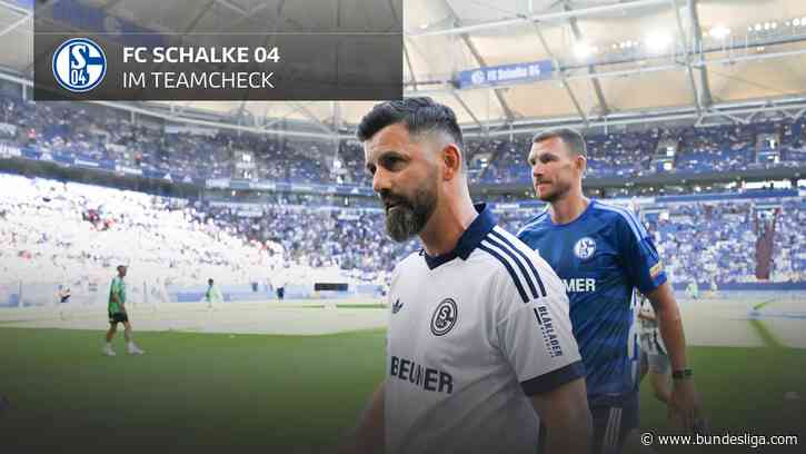 Teamcheck FC Schalke 04: Halten die Knappen die Klasse?