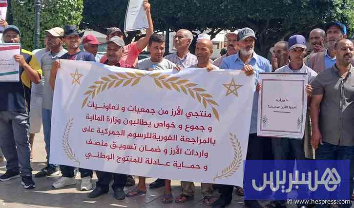 توريد الأرز يقفز 116% .. والمنتجون المغاربة يحذرون من اندثار الزراعة
