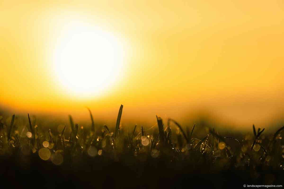 HTA Responds To The Announcement Of More Drought Declarations Across The UK