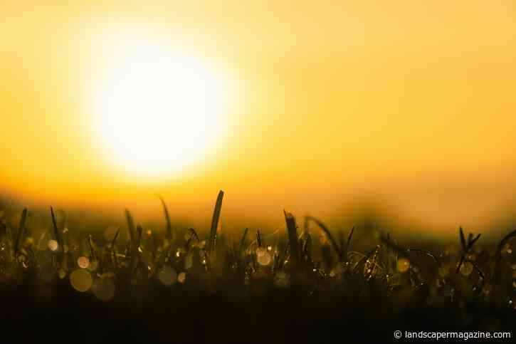 HTA Responds To The Announcement Of More Drought Declarations Across The UK