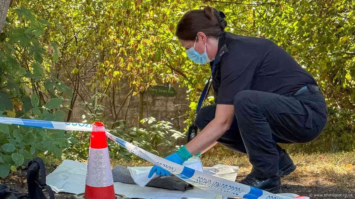 Teen arrested for attempted murder after railway path attack