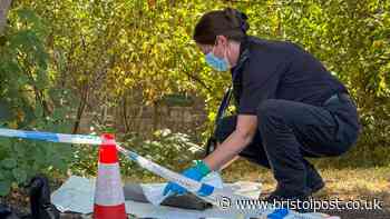 Teen arrested for attempted murder after railway path attack