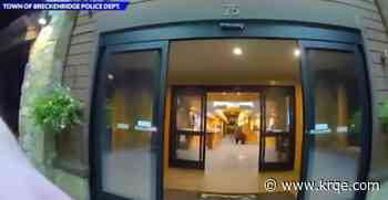WATCH: Bear breaks into Colorado lodge for a few M&Ms