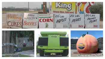 Search for B.C.'s best roadside attraction: Interior semifinals