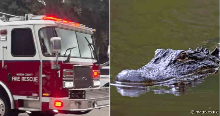 Alligator mauls woman and tears off her arm in front of her family