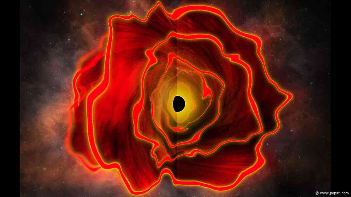 Astronomers discover the existence of a ‘black hole star’