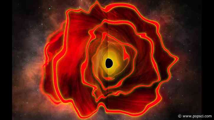 Astronomers discover the existence of a ‘black hole star’