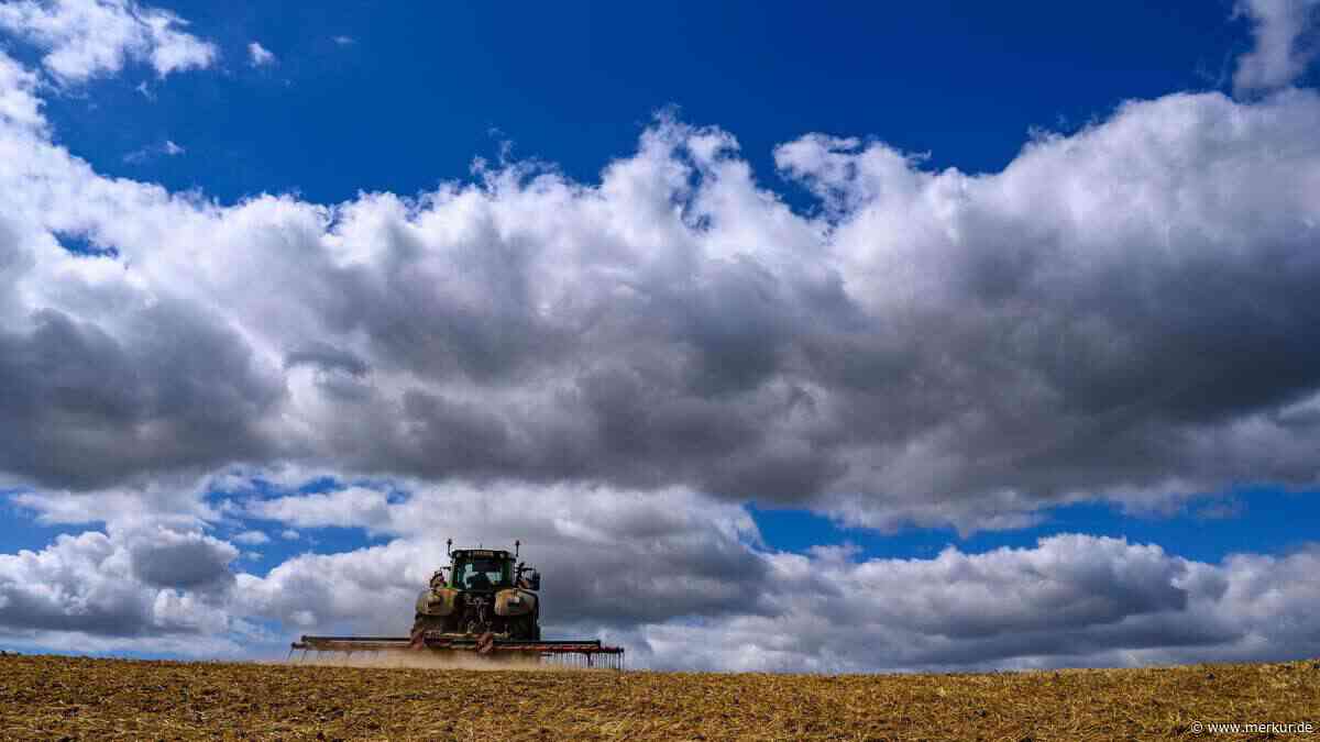 „Situation ist dramatisch“: Landwirte reduzieren Viehbestände wegen anhaltender Dürre