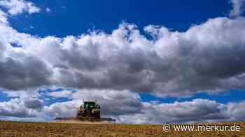 „Situation ist dramatisch“: Landwirte reduzieren Viehbestände wegen anhaltender Dürre