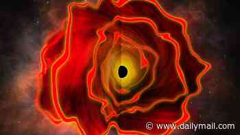 Scientists discover a never-before-seen astronomical object that's a mashup of a black hole and a huge star - and it could explain the mysterious red dots in deep-space images
