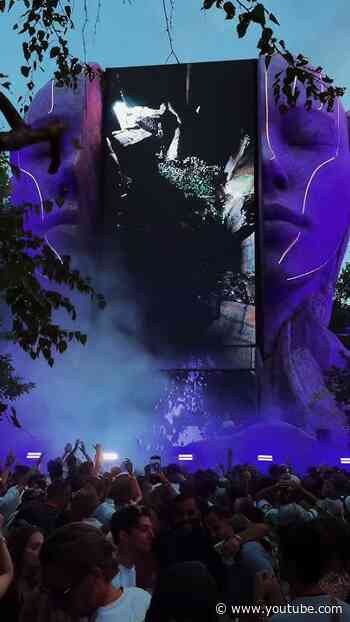 Deep in the forest, surrounded by music and endless discovery.