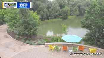 Afternoon storms, and it stays muggy