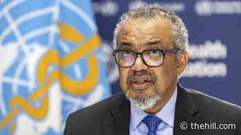 WHO chief: US immunization changes 'not aligned with decades of evidence'