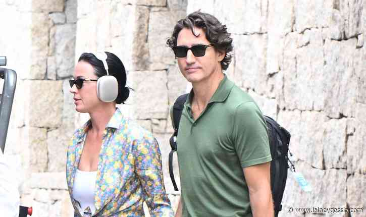 Katy Perry and the KatyCat Boyfriend