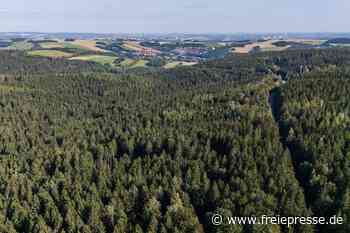Trinkwasser-Versorgung in Gefahr? Windkraftpläne bedrohen den Abtwald im Erzgebirge