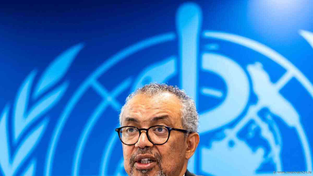 Ebola: WHO warnt vor Rekord-Epidemie im Kongo