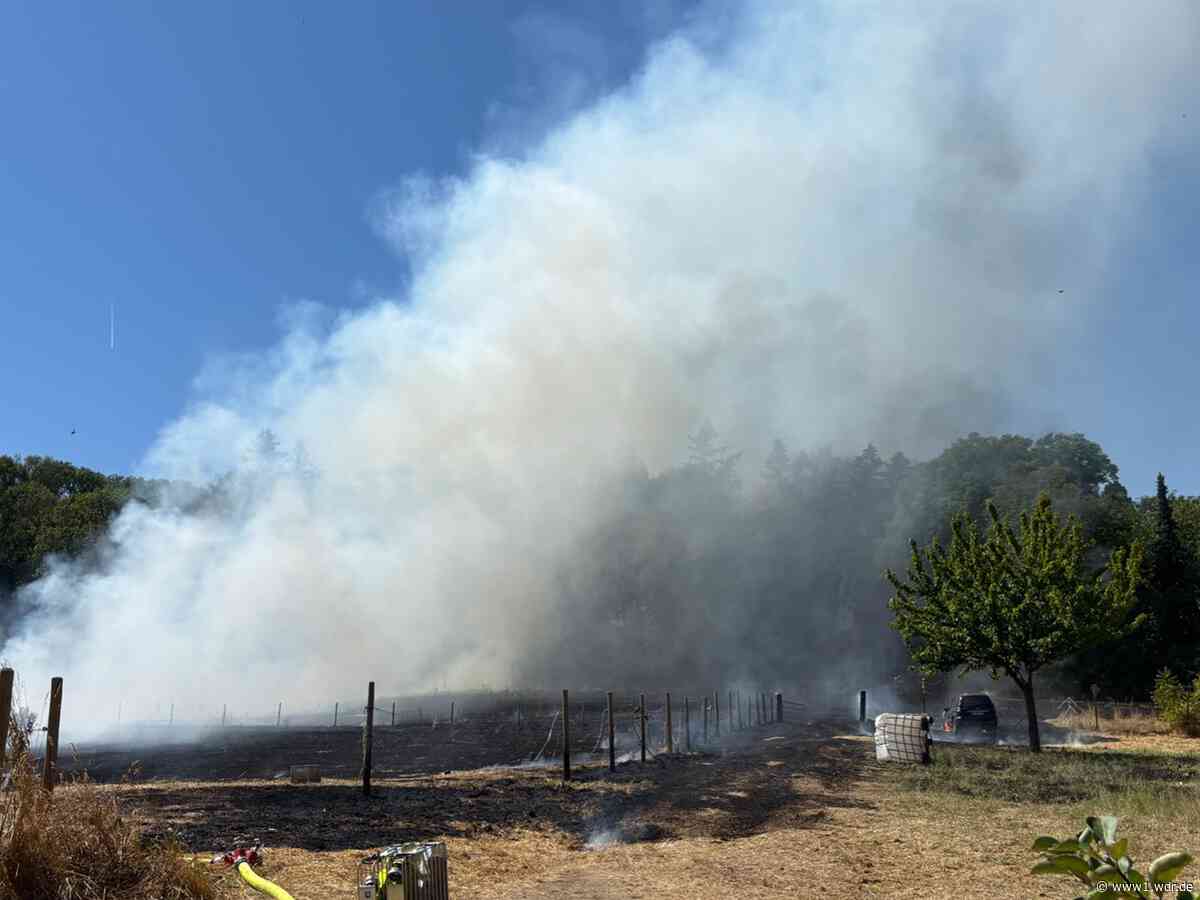 Feld- und Waldbrand bei Bornheim-Walberberg