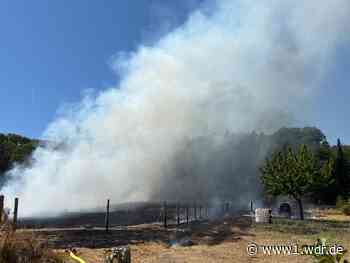 Feld- und Waldbrand bei Bornheim-Walberberg