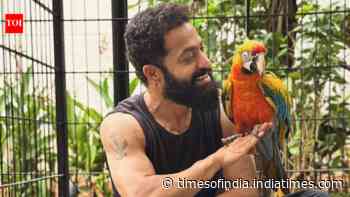 Jr NTR thanks fans after successful surgery: ‘I’m doing well’