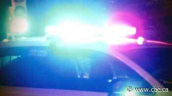 Winnipeg teen warned after investigation of imitation police vehicle, fined for tinted windows