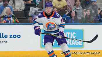 Solar Bears bring back Eddy