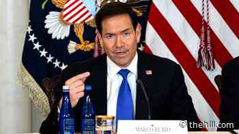 Rubio says Hegseth is a 'cat guy'