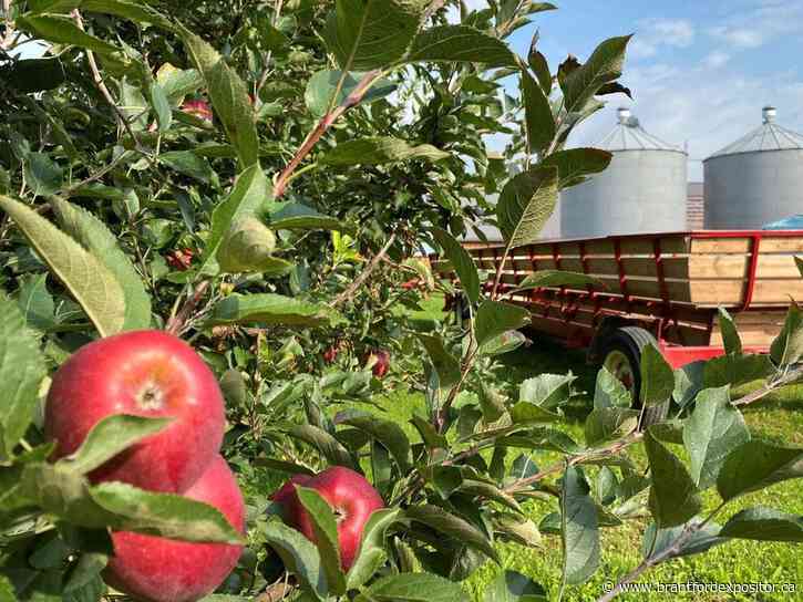 Farm Crawl Brant scheduled for Sept. 12.