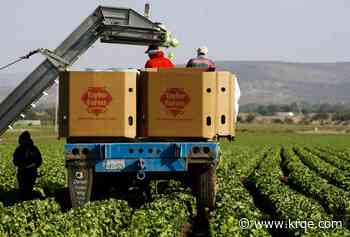 Are the Taylor Farms recalls connected?