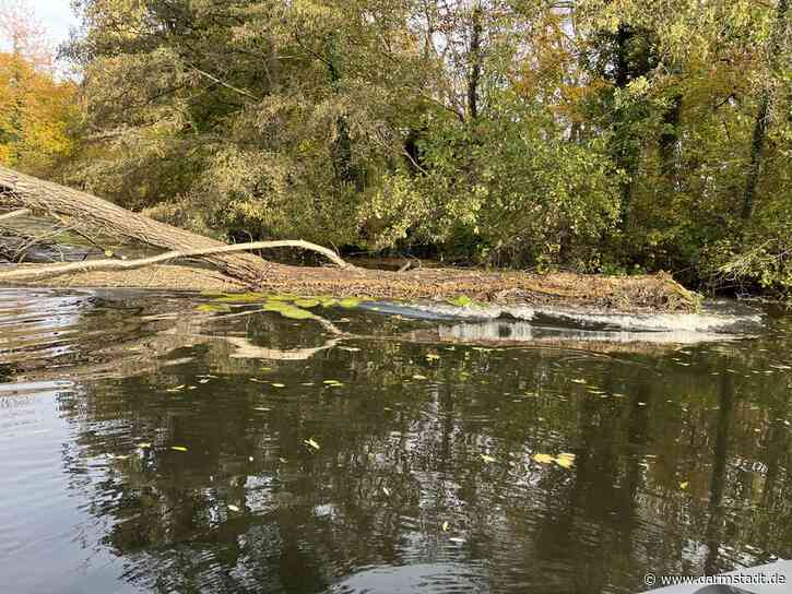 Bürgerpark