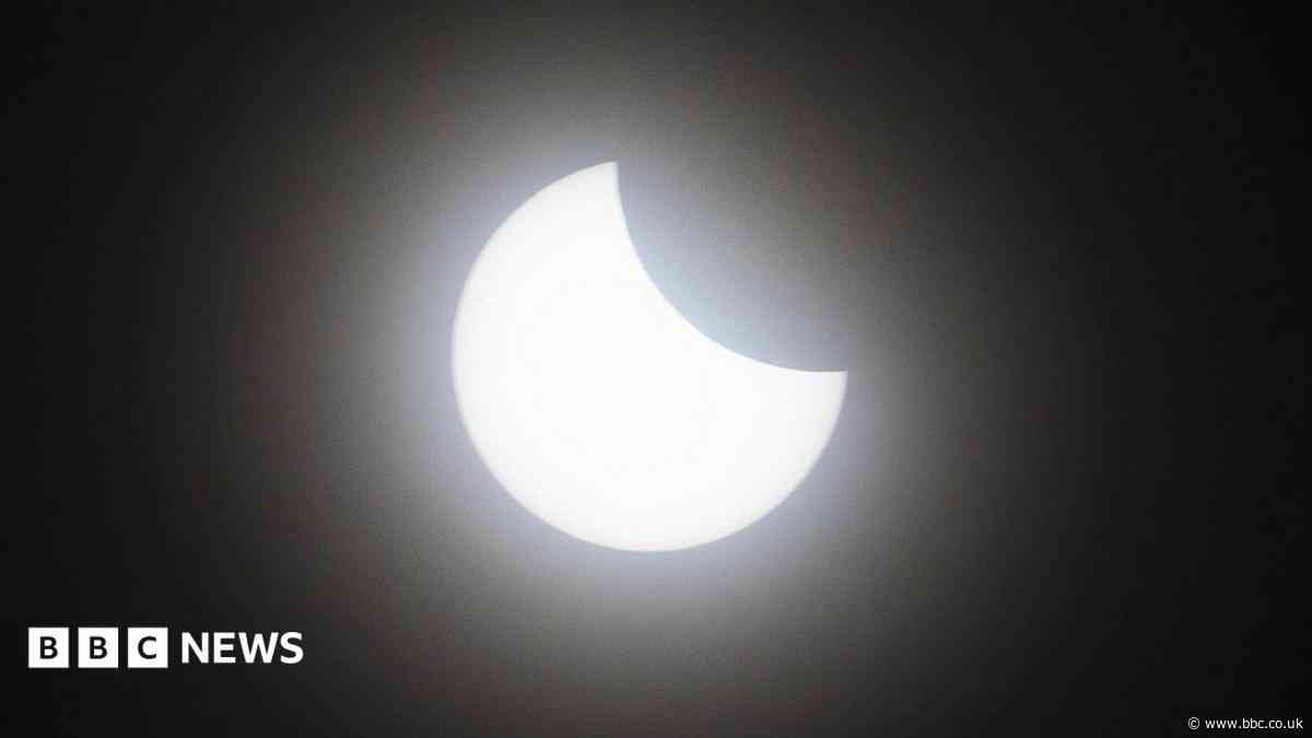 No surge in bookings but eclipse 'boosts footfall'