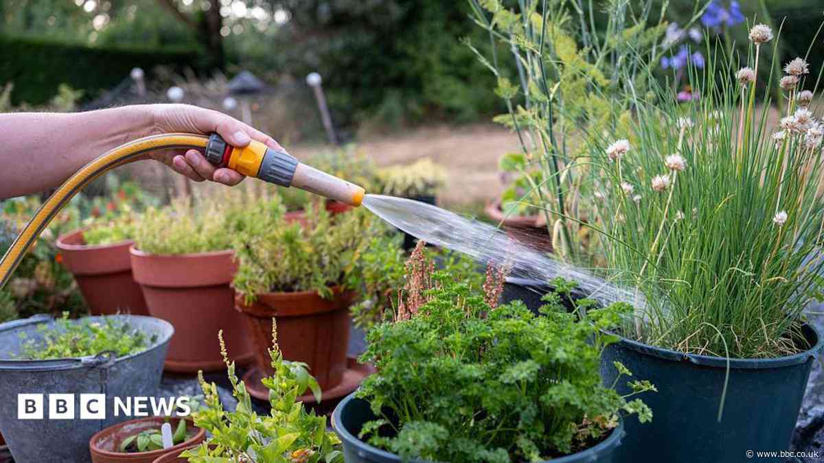 Your hosepipe ban questions answered
