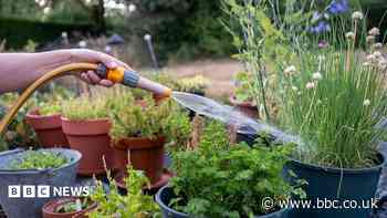Your hosepipe ban questions answered