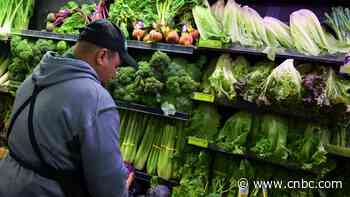 'Nobody wants it': Lettuce prices see record-setting plunge as cyclospora spooks consumers