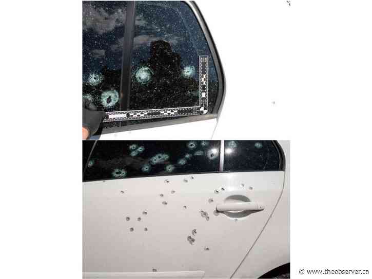 Sarnia man charged in shooting released on bail