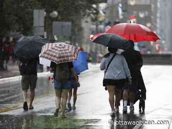 Yellow storm alert posted for Capital region