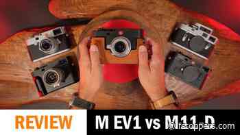 The One Leica M That Drops the Rangefinder Entirely
