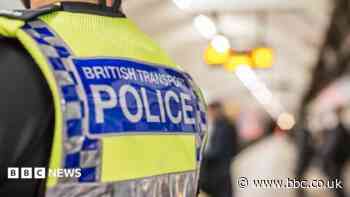 Appeal after woman punched and kicked on train