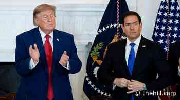 State Department establishes task force to end 'birth tourism'