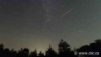 Hoping to catch a glimpse of the Perseid meteor shower in the GTA? Here's what you need to know