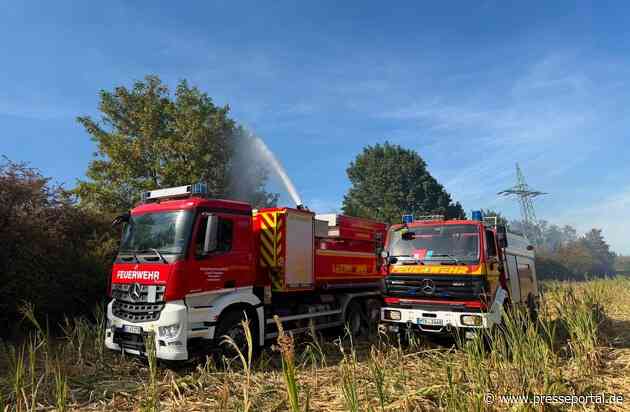 Feuerwehr MTK: Großeinsatz bei Vegetationsbrand in Hattersheim: Mehr als 200 Einsatzkräfte bekämpfen ausgedehnten Wiesen- und Waldbrand - umfangreiche Nachlöscharbeiten dauern an