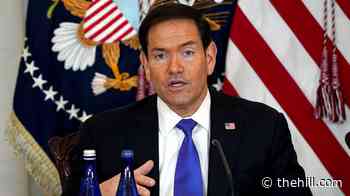 Rubio calls RFK Jr's meat and sauerkraut menu 'a crazy diet'