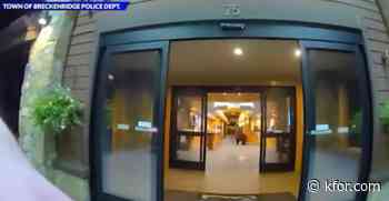 WATCH: Bear breaks into Colorado lodge for a few M&Ms