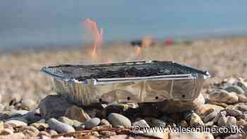 PM urges disposable barbecue ban as Wales faces wildfire crisis and drought