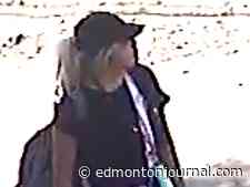 Police ask the public's help to ID vehicle arson suspect