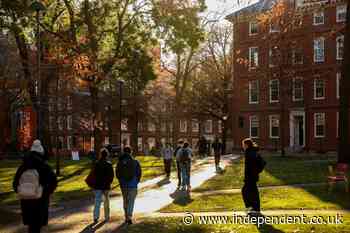 Foreign student enrollment to fall 10% at US colleges thanks to Trump’s agenda, report says