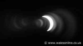 Solar eclipse eye damage and when to seek help if you watched without glasses