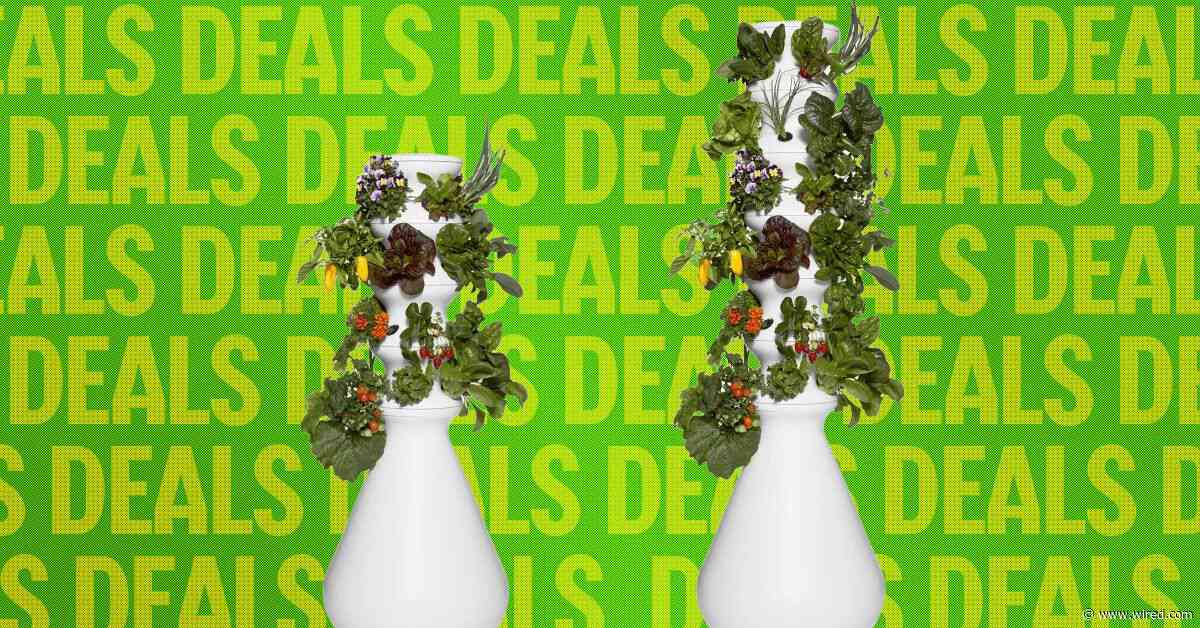 The Best Way to Avoid Diarrhea Lettuce? This Indoor Garden