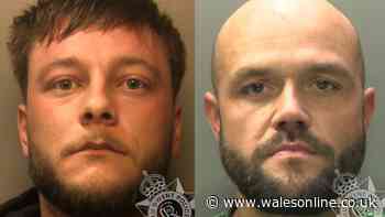 Ex-Dragons rugby player 'went off the rails' and is now in prison