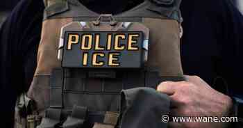 ICE's plan to give officers electric shock gloves draws outrage and fears of misuse